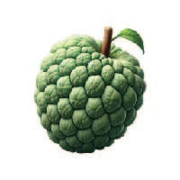 Custard Apple
